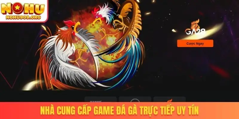 Đá Gà Trực Tiếp - Danh Mục Chọi Kê Uy Tín, Đẳng Cấp Quốc Tế - winzuno69