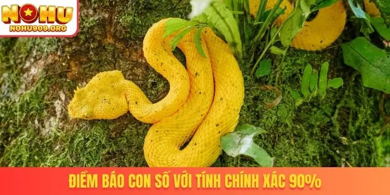 Nằm Mơ Thấy Rắn Đánh Số Gì - Tài Lộc Kéo Vào Nhà Cực Nhanh - winzuno69