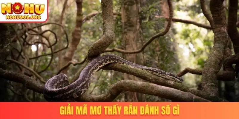Nằm Mơ Thấy Rắn Đánh Số Gì - Tài Lộc Kéo Vào Nhà Cực Nhanh - winzuno69