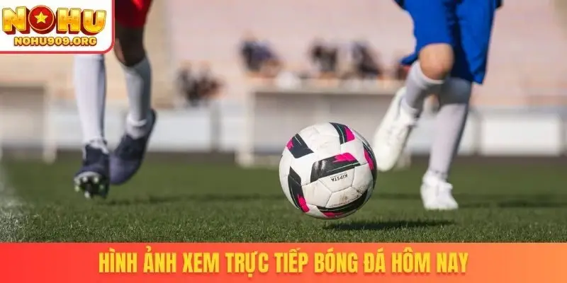 Trực Tiếp Bóng Đá Hôm Nay - Mãn Nhãn Cùng Trận Cầu Hot - winzuno69