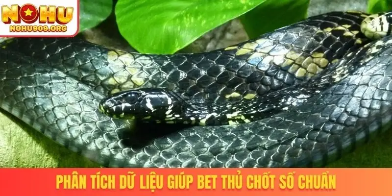 Nằm Mơ Thấy Rắn Đánh Số Gì - Tài Lộc Kéo Vào Nhà Cực Nhanh - winzuno69