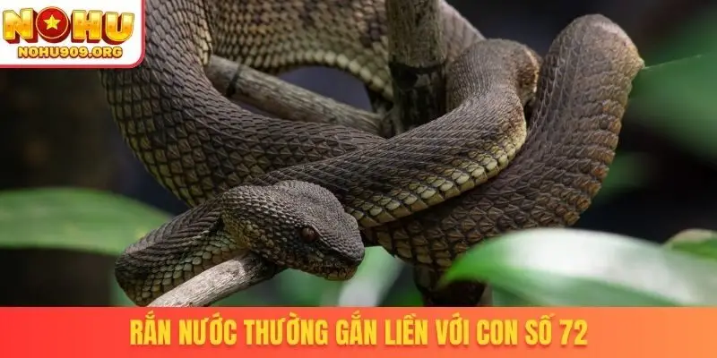 Nằm Mơ Thấy Rắn Đánh Số Gì - Tài Lộc Kéo Vào Nhà Cực Nhanh - winzuno69