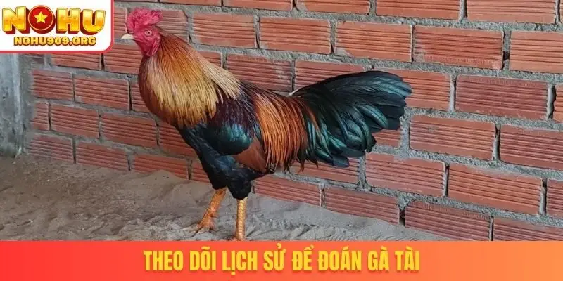 Đá Gà Trực Tiếp Hôm Nay - Khuấy Đảo Cộng Đồng Đam Mê Chọi Kê - winzuno69