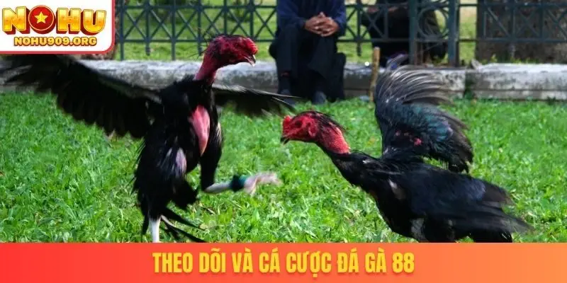 Đá Gà 88 - Sở Hữu Bản Quyền Phát Sóng Trận Đấu Thomo - winzuno69