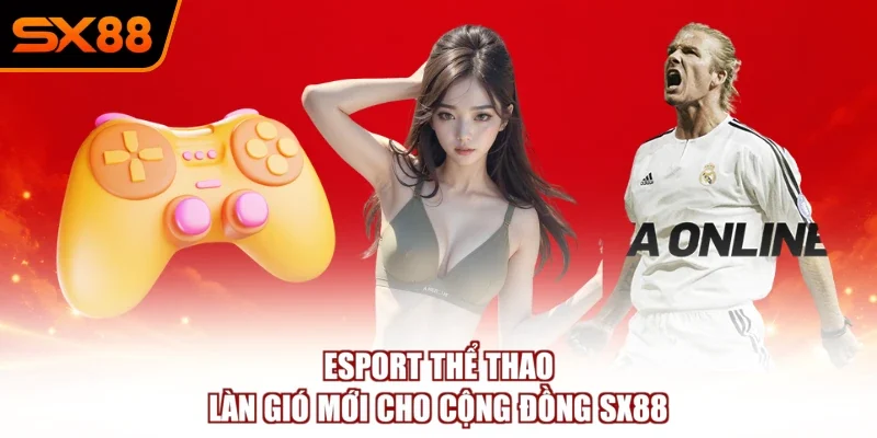 Thể Thao - Tận Hưởng Những Cung Bậc Cảm Xúc Bùng Nổ - winzuno69
