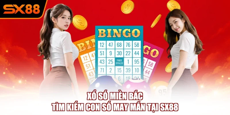 Xổ Số - Sảnh Cược Xanh Chín, Đẳng Cấp Tiêu Chuẩn Quốc Tế - winzuno69